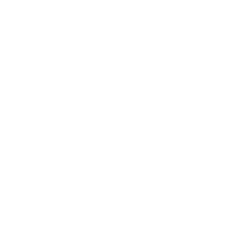 Company founded icon