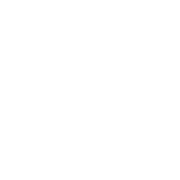 Company founded icon